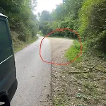 Auszeit In Der Wachau Unterbergern