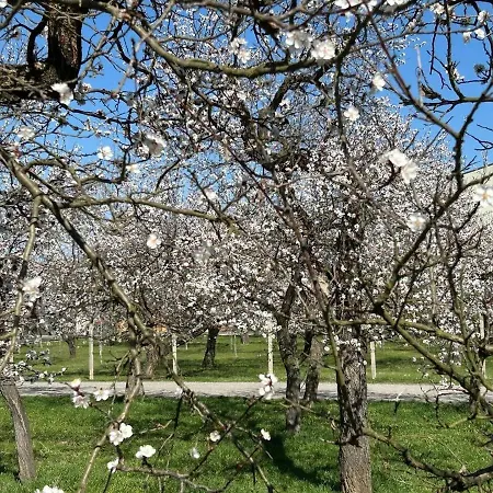 Auszeit In Der Wachau Unterbergern